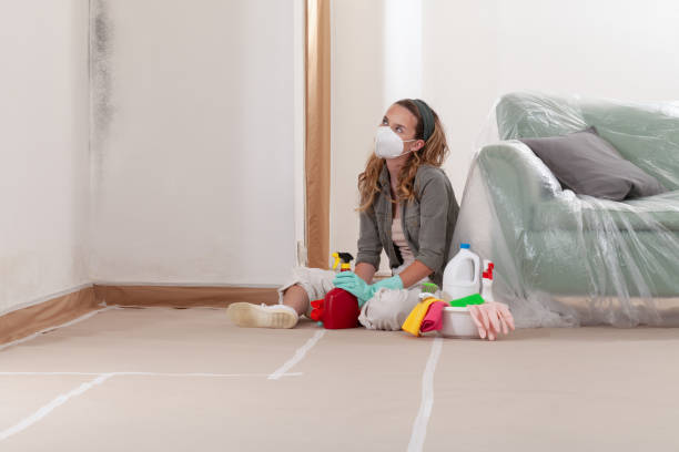 Reliable Mold Testing contractor in Ivor, VA by WQB Mold Removal